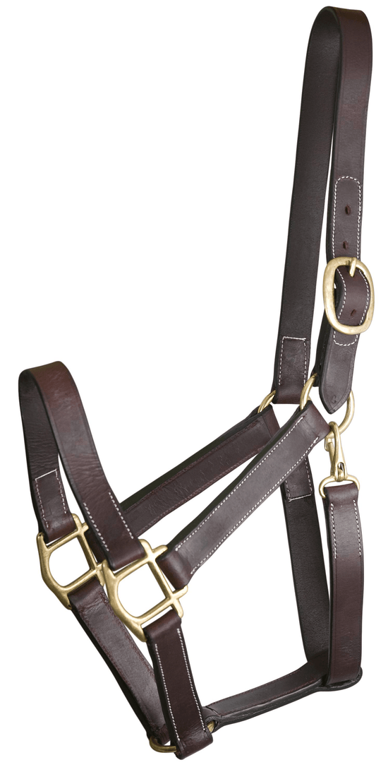 Gatsby Premium Leather Turnout Halter with Snap-0