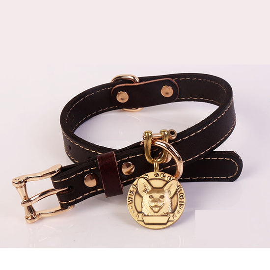 The Show Day Collar