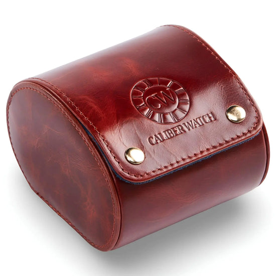 The Swiss Watch Case