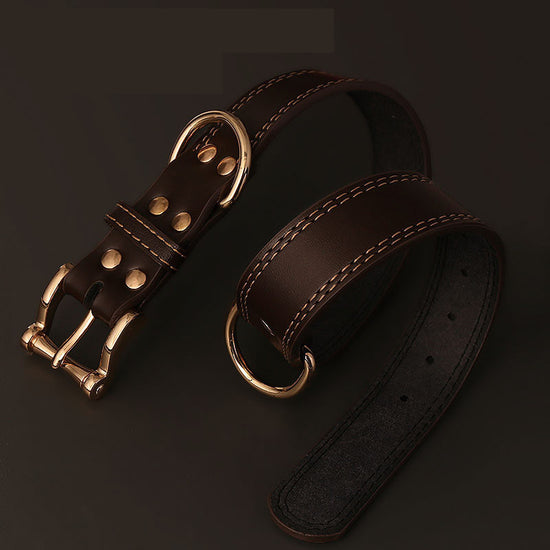 The Show Day Collar